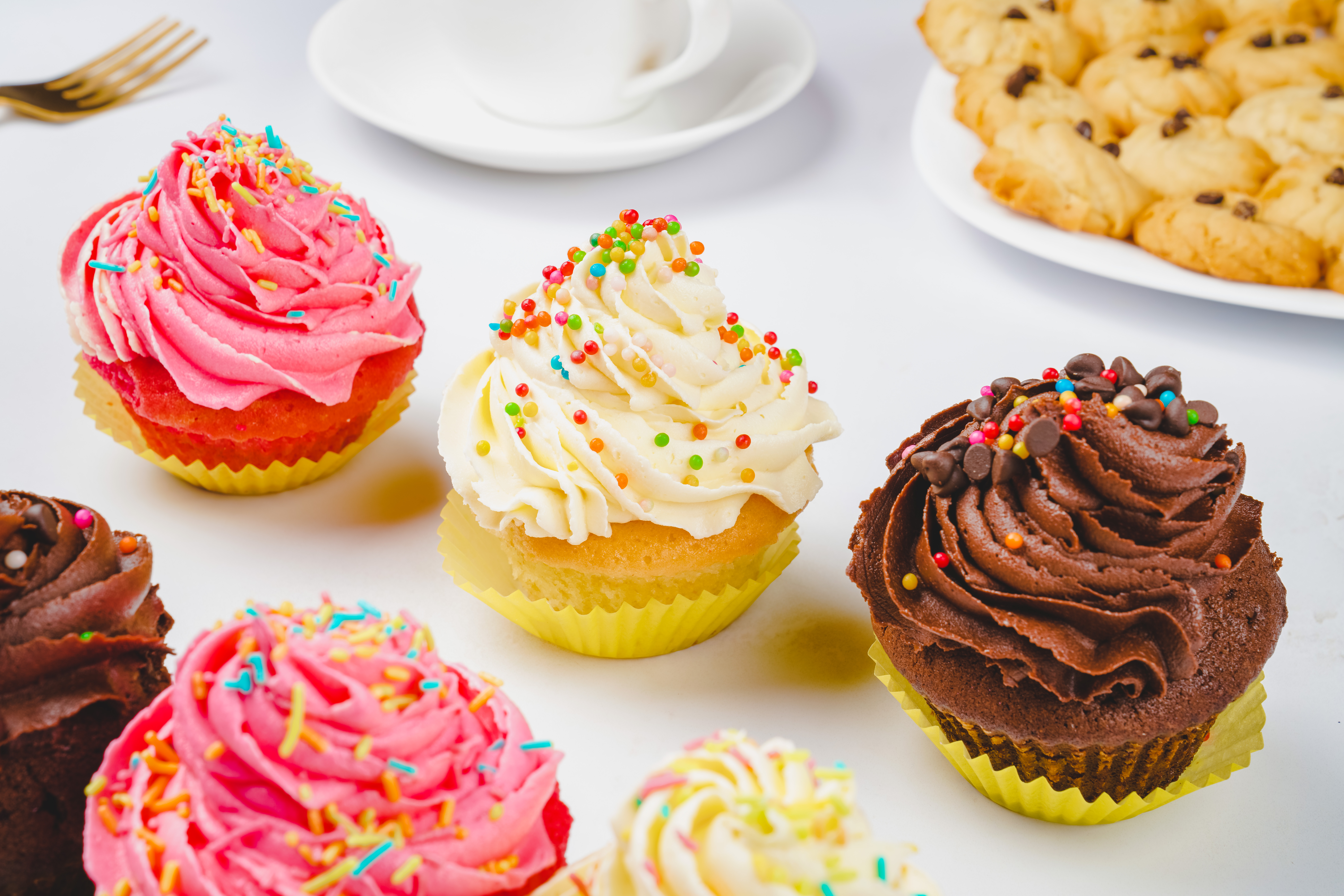 Colourful cupcakes freshly baked at Mighty Paws